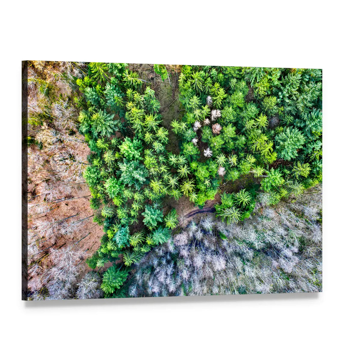 Aerial View Of Trees In The Vosges Mountains In Alsace France Canvas Wall Art, single panel gallery wrapped canvas, angled product view