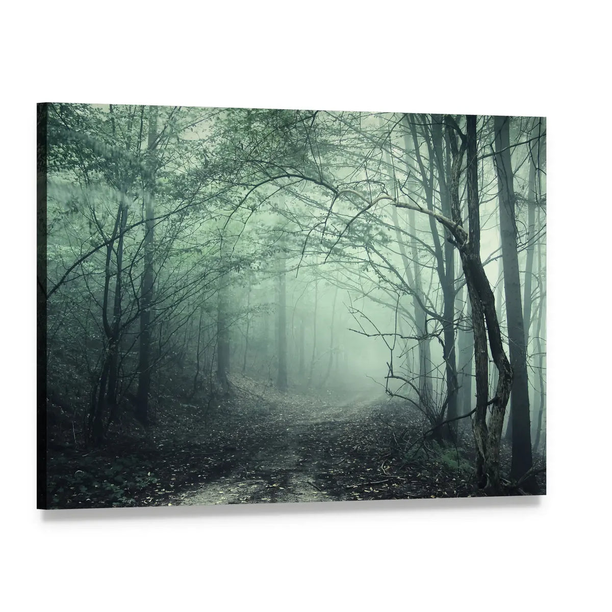 Foggy Forest Pathway Canvas Wall Art, single panel gallery wrapped canvas, angled product view