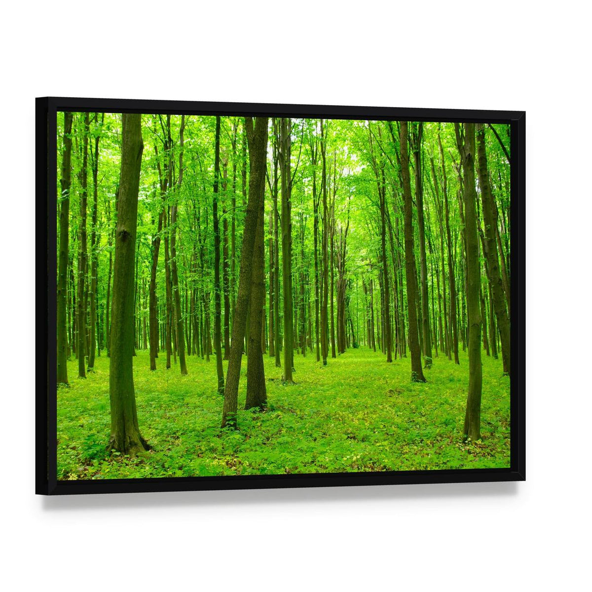 Spring Forest with Tall Trees Canvas Wall Art, framed canvas in a black floater frame, angled product view