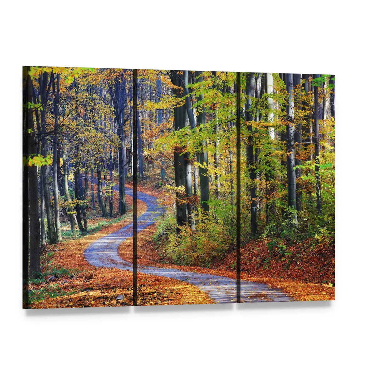 Winding Path Through Autumn Forest Canvas Wall Art, 3 panel 3 Horizontal layout gallery wrapped canvas set, angled product view
