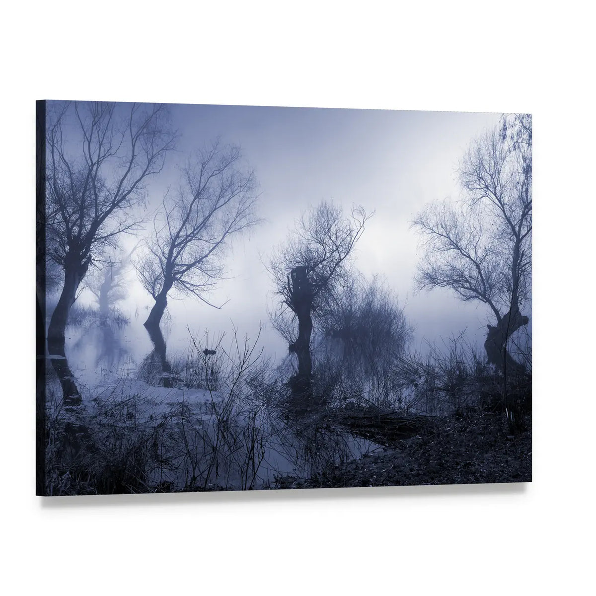 Spooky Dark Forest Canvas Wall Art, single panel gallery wrapped canvas, angled product view