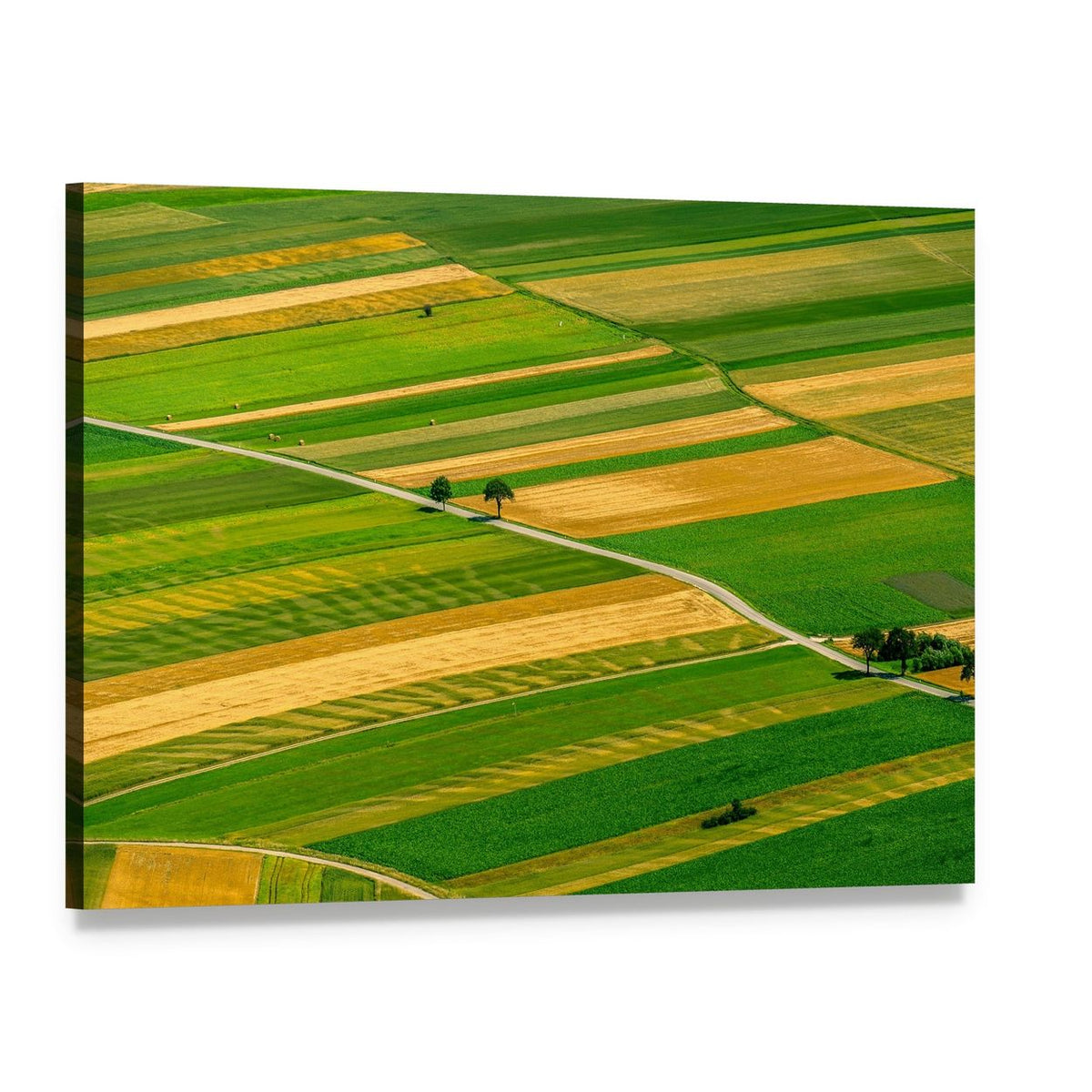 Green Fields View Before Harvest Canvas Wall Art, single panel gallery wrapped canvas, angled product view