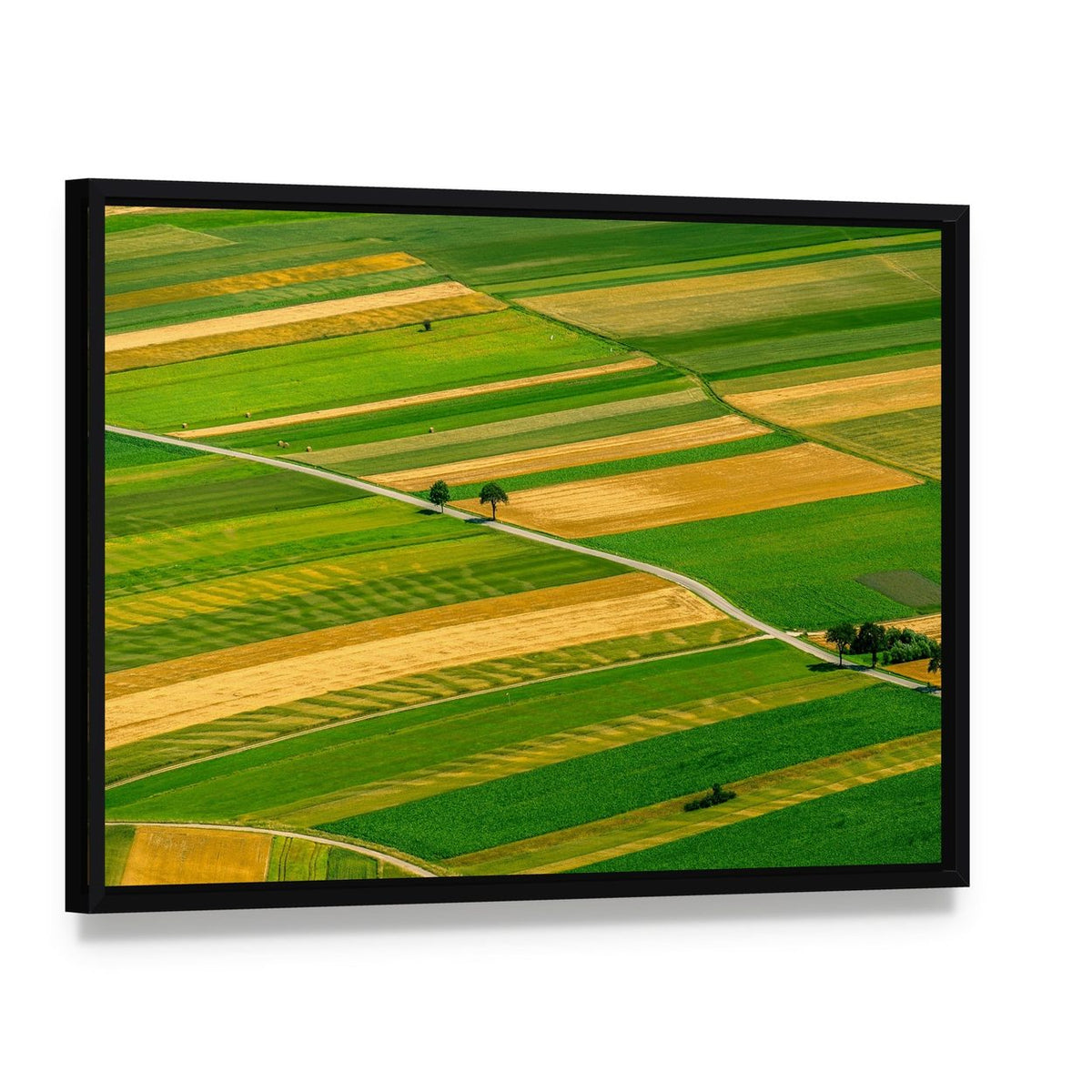 Green Fields View Before Harvest Canvas Wall Art, framed canvas in a black floater frame, angled product view