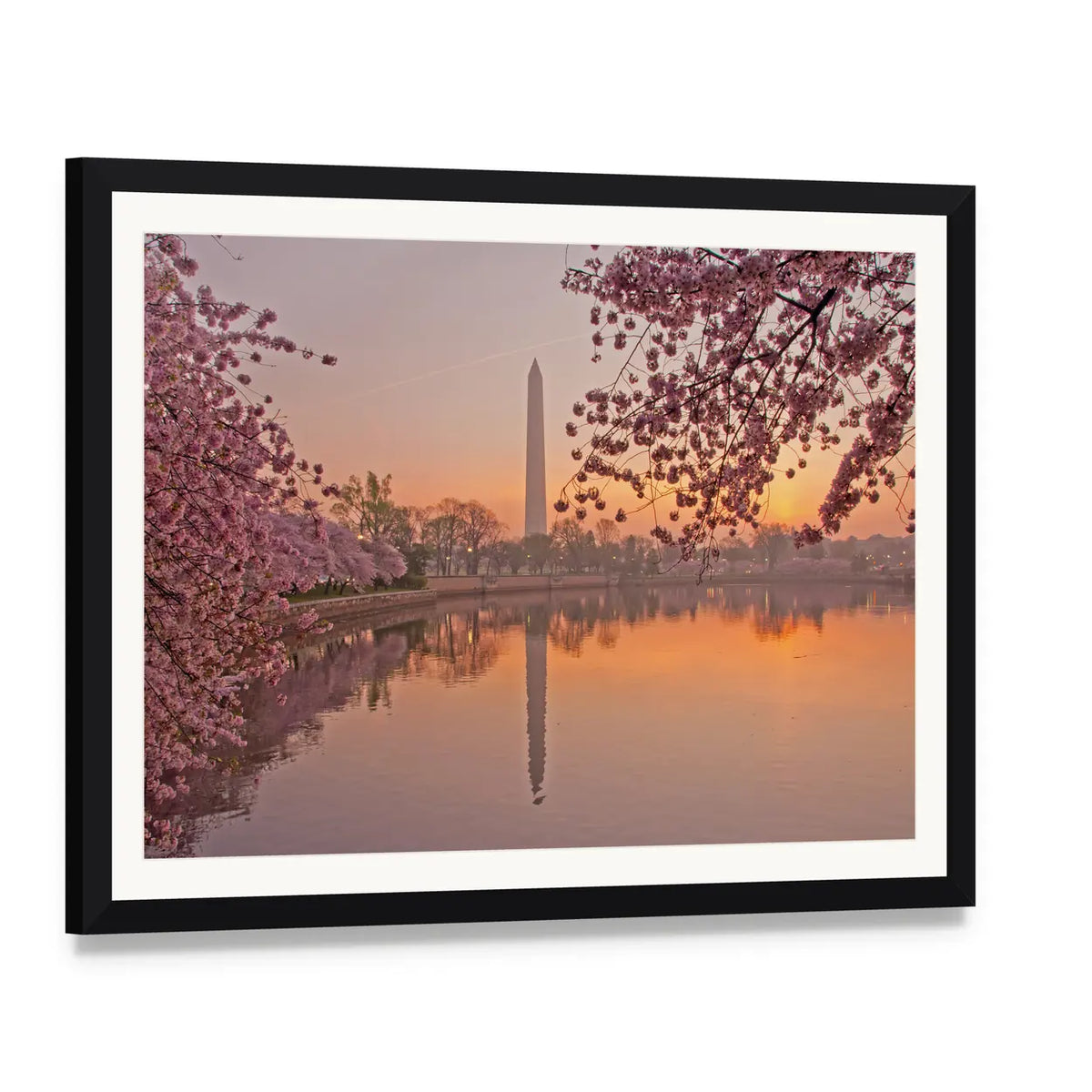 Tidal Basin Cherry Blossoms at Sunrise Canvas Wall Art, framed print with white mat and black frame, angled product view