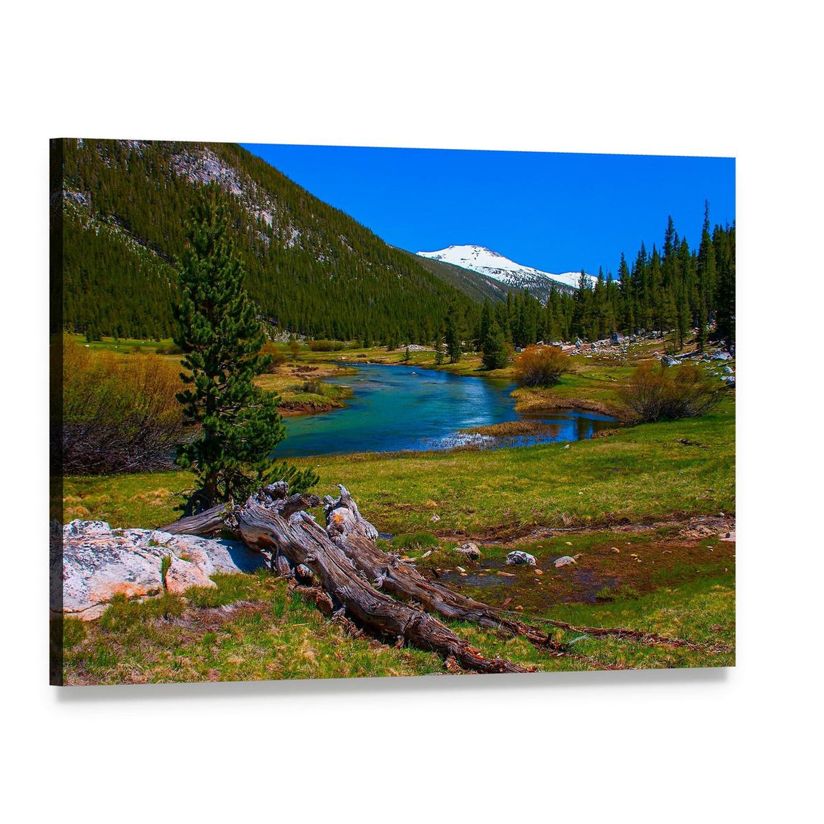 Lyell Fork of Tuolumne River in Summer Canvas Wall Art, single panel gallery wrapped canvas, angled product view