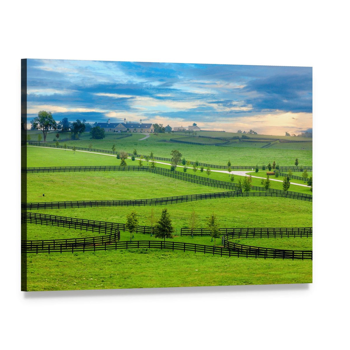 Horse Farm in Kentucky Canvas Wall Art, single panel gallery wrapped canvas, angled product view