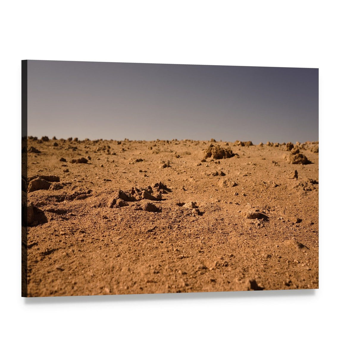 Land of Mars Canvas Wall Art, single panel gallery wrapped canvas, angled product view