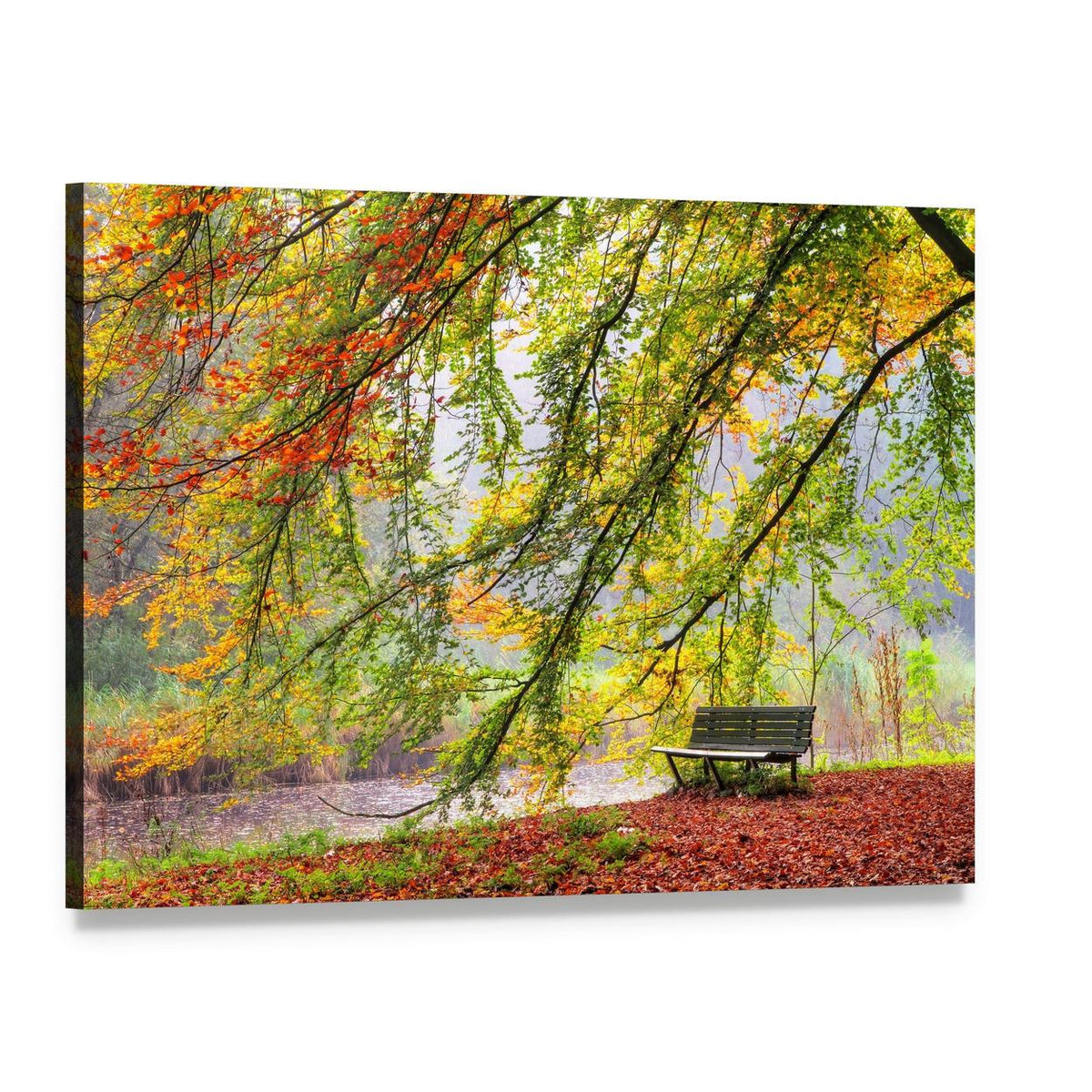 Wooden Bench Among Autumn Leaves Canvas Wall Art, single panel gallery wrapped canvas, angled product view