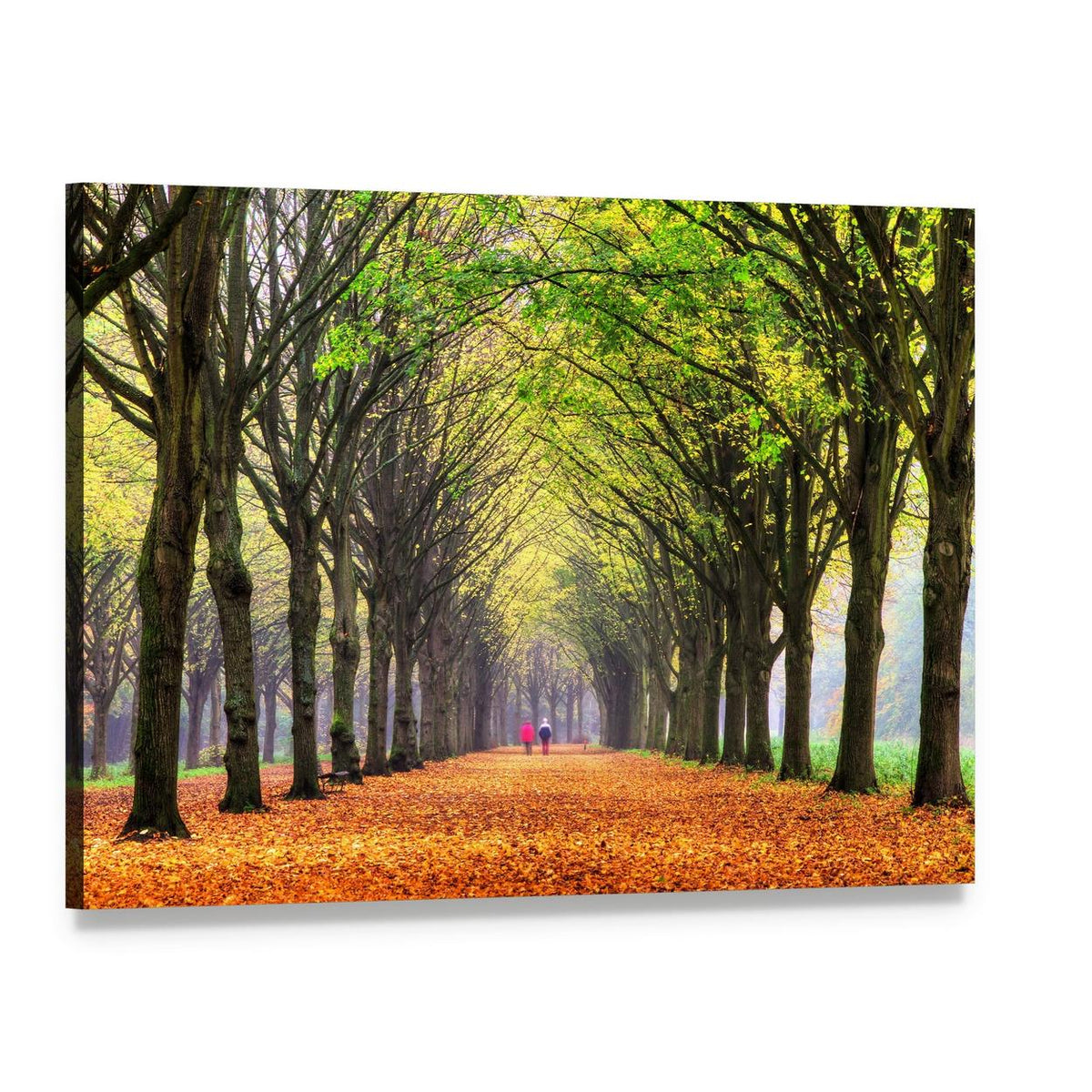 Autumn Path Through Amsterdam Forest Canvas Wall Art, single panel gallery wrapped canvas, angled product view