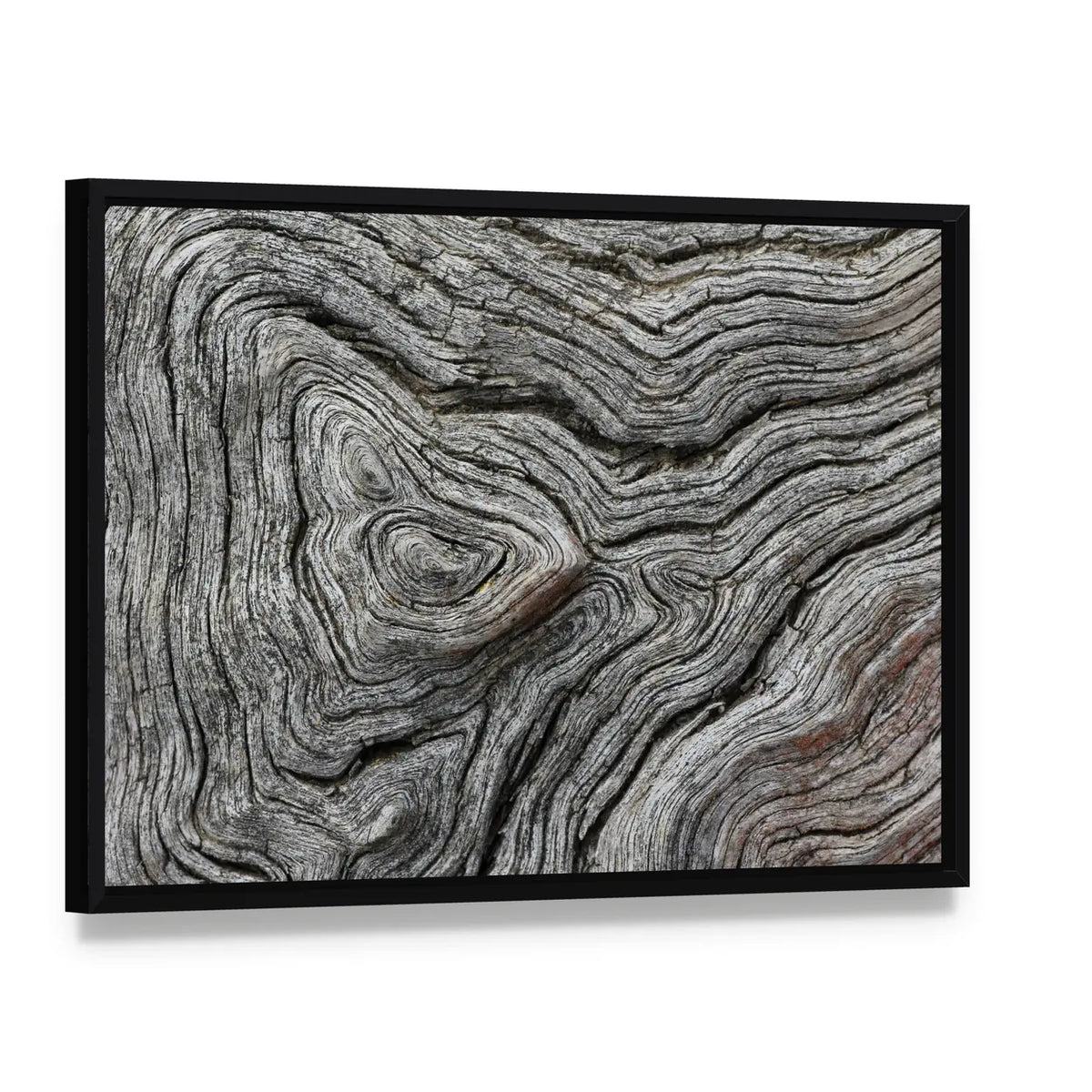 Weathered Wood Grain Macro Canvas Wall Art, framed canvas in a black floater frame, angled product view