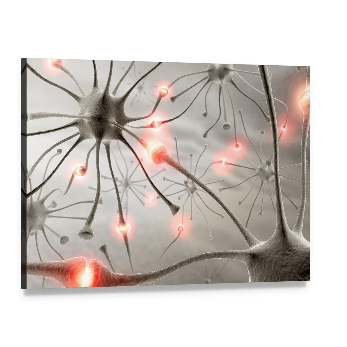 Hardwired Neurons Canvas Wall Art, single panel gallery wrapped canvas, angled product view