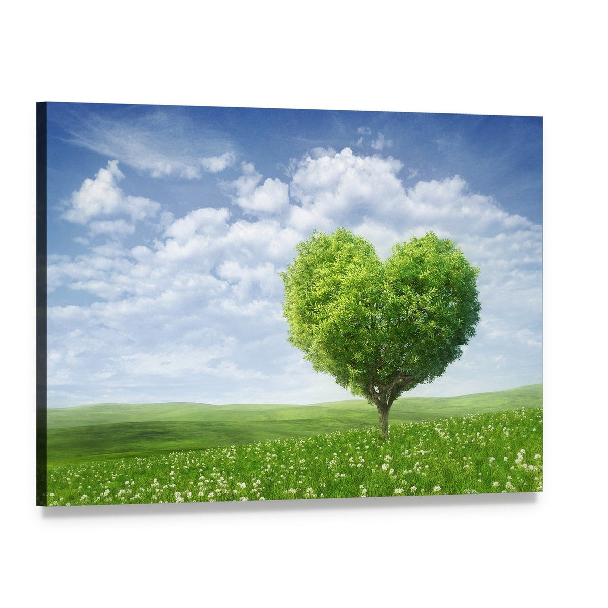 Heart-shaped Tree Under Cloudy Sky Canvas Wall Art, single panel gallery wrapped canvas, angled product view