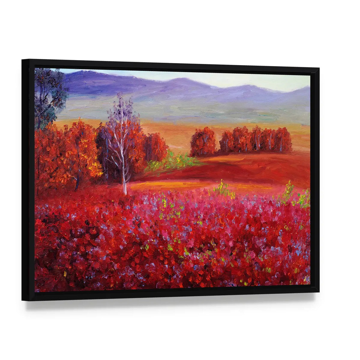 Red Flower Field with White Birch Canvas Wall Art, framed canvas in a black floater frame, angled product view