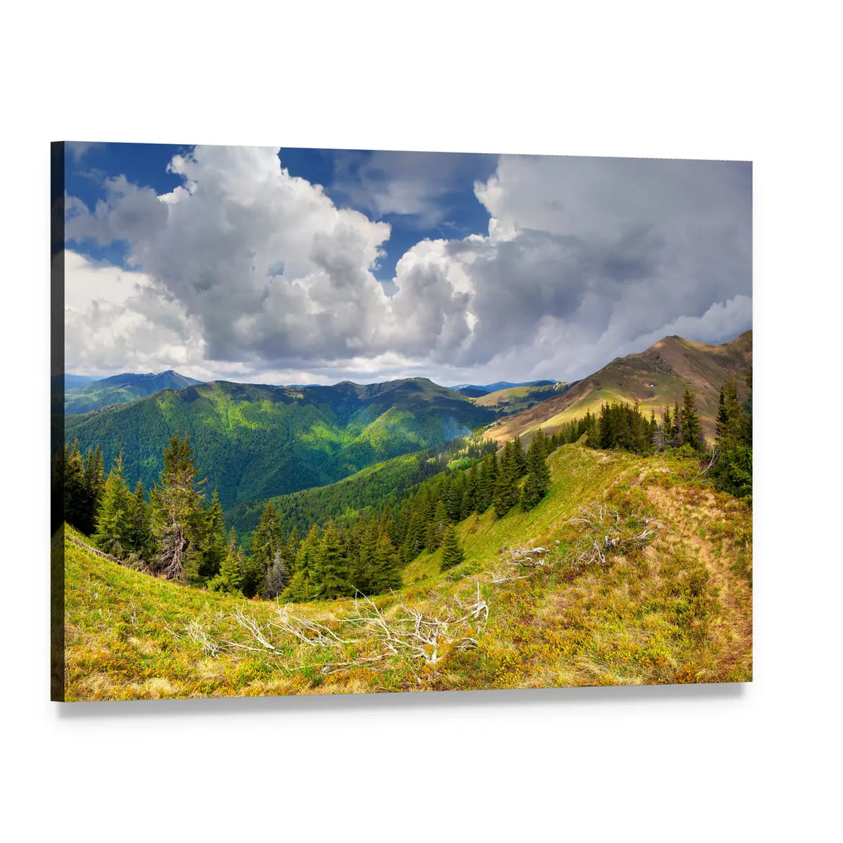 Spring Landscape in the Carpathian Mountains Canvas Wall Art, single panel gallery wrapped canvas, angled product view