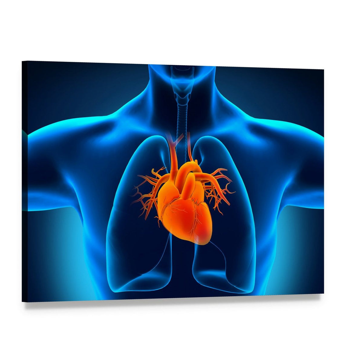 Glowing Anatomical Heart and Lungs Canvas Wall Art, single panel gallery wrapped canvas, angled product view