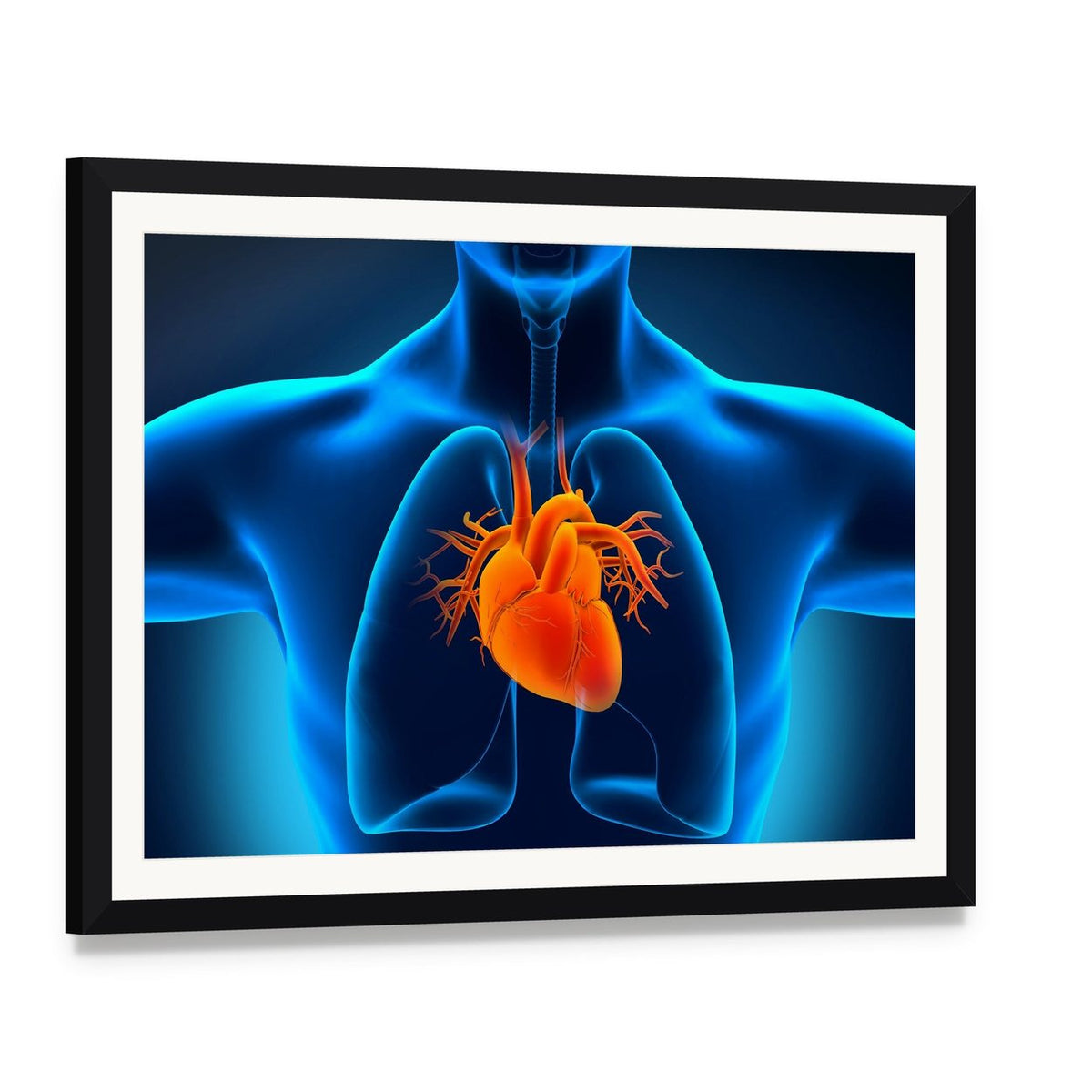 Glowing Anatomical Heart and Lungs Canvas Wall Art, framed print with white mat and black frame, angled product view