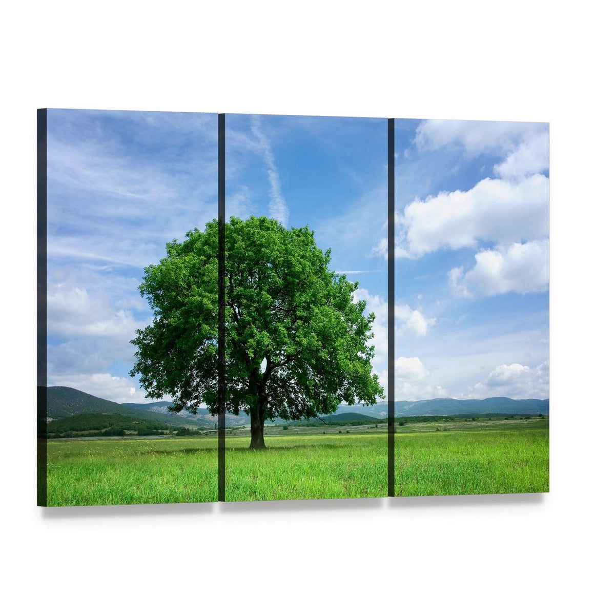 Tree on Green Field Canvas Wall Art, 3 panel 3 Horizontal layout gallery wrapped canvas set, angled product view