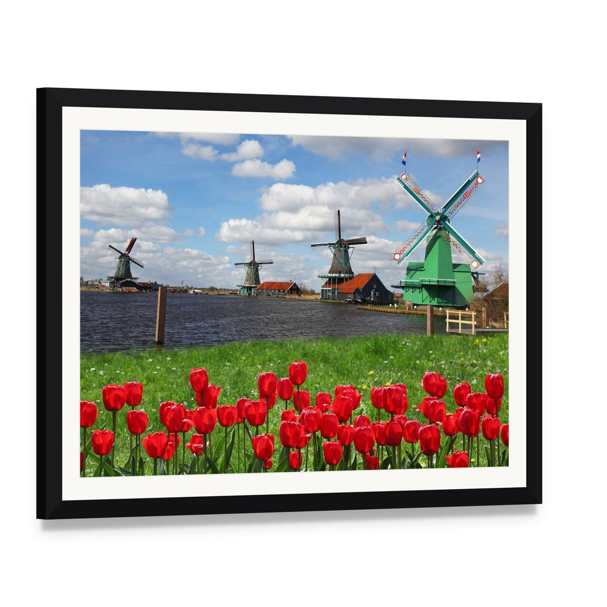 Red Tulips and Green Windmills Canvas Wall Art, framed print with white mat and black frame, angled product view