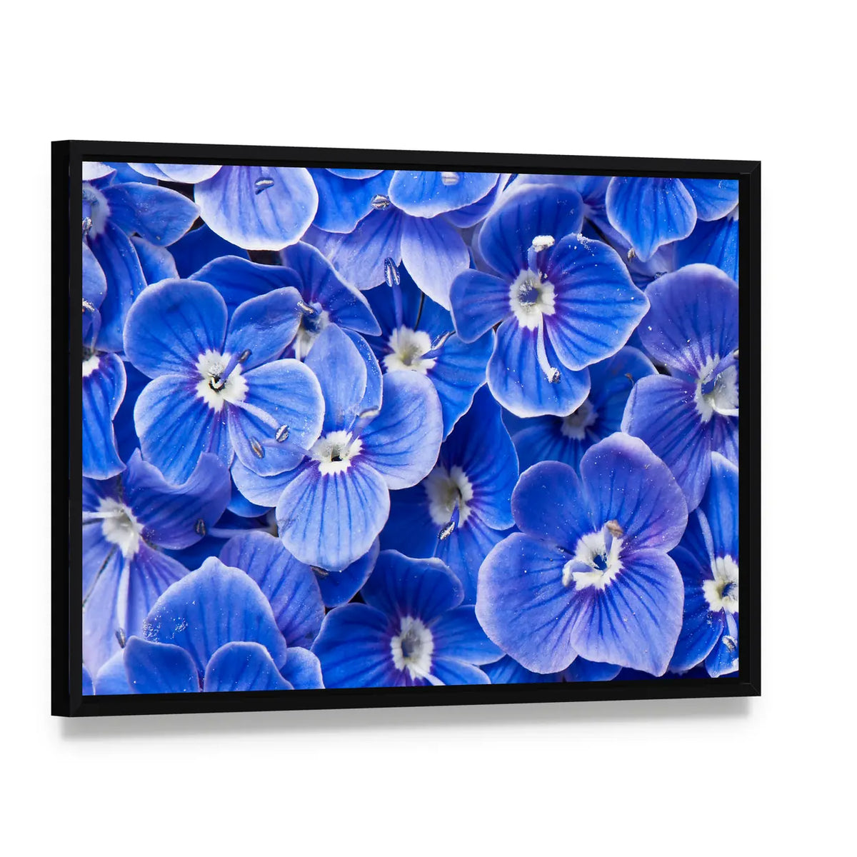 Blue Flowers Canvas Wall Art, framed canvas in a black floater frame, angled product view