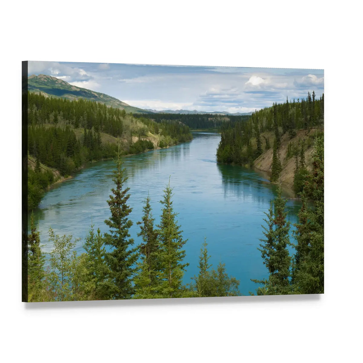 Yukon River Through Evergreen Forest Canvas Wall Art, single panel gallery wrapped canvas, angled product view