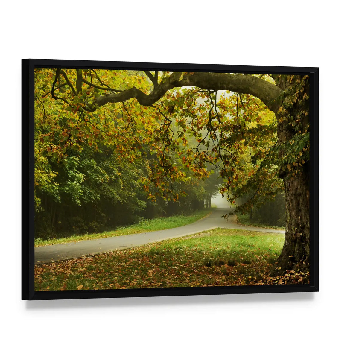 Misty Autumn Forked Path Canvas Wall Art, framed canvas in a black floater frame, angled product view