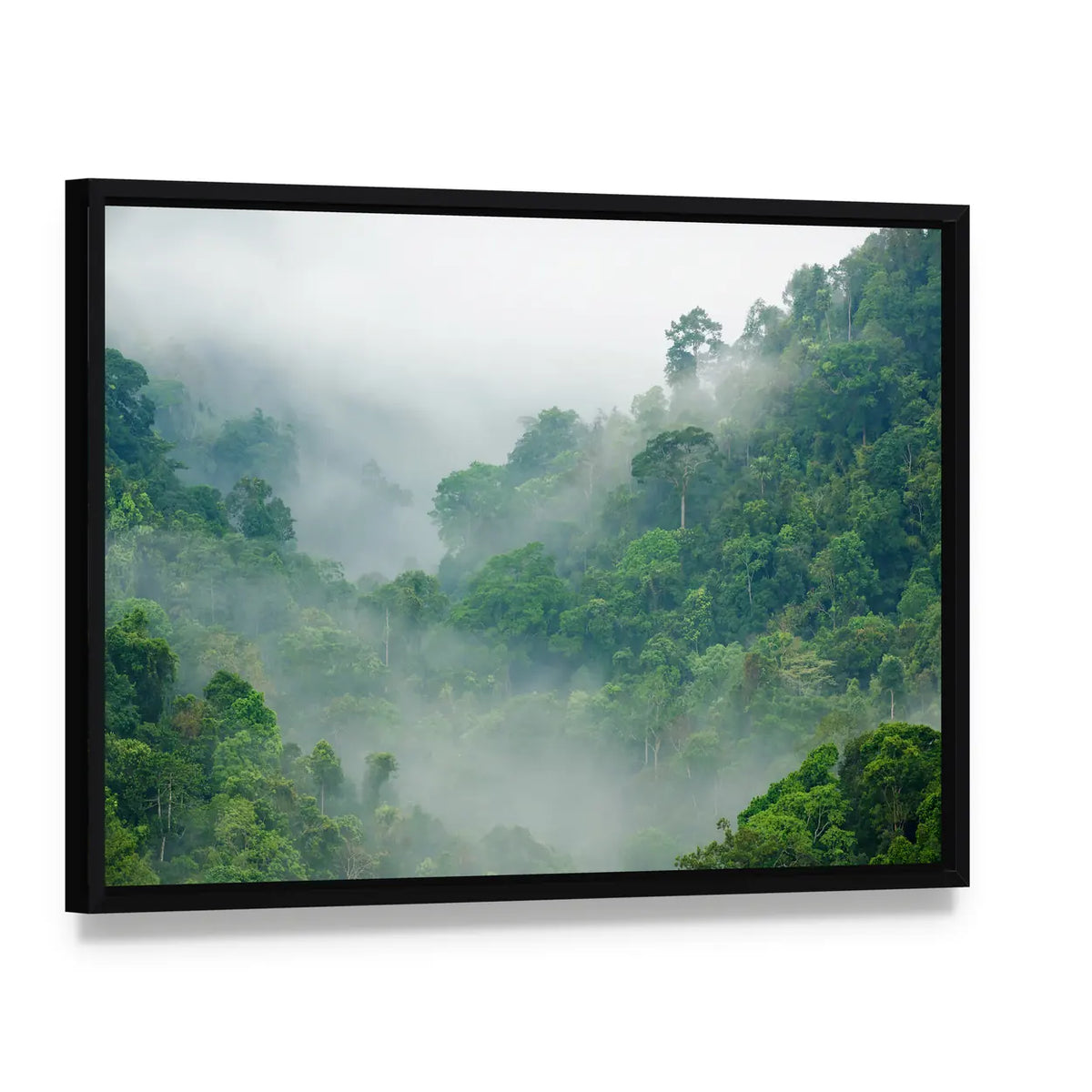 Kaeng Krachan In Thailand Canvas Wall Art, framed canvas in a black floater frame, angled product view