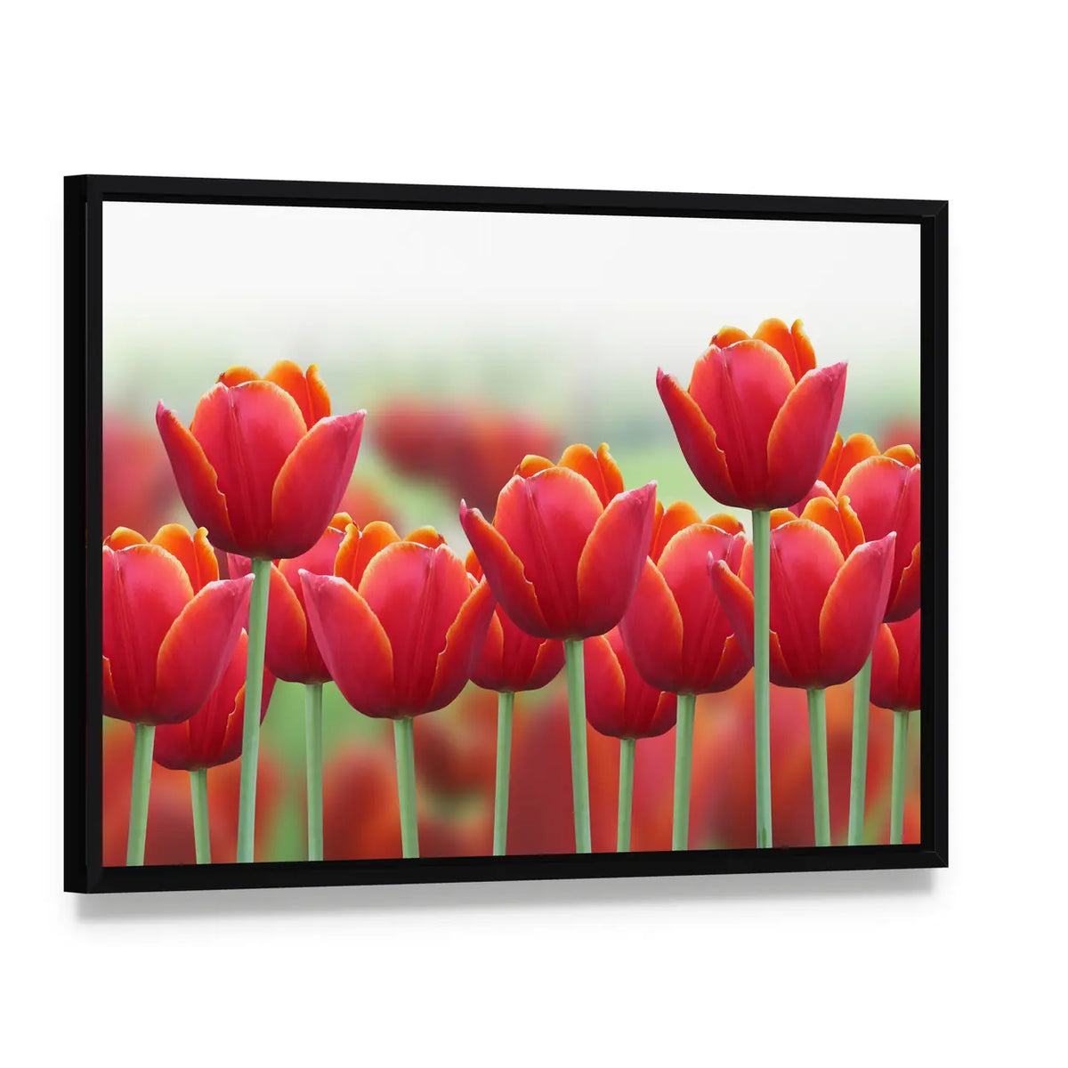 Spring Tulip Flower Canvas Wall Art, framed canvas in a black floater frame, angled product view