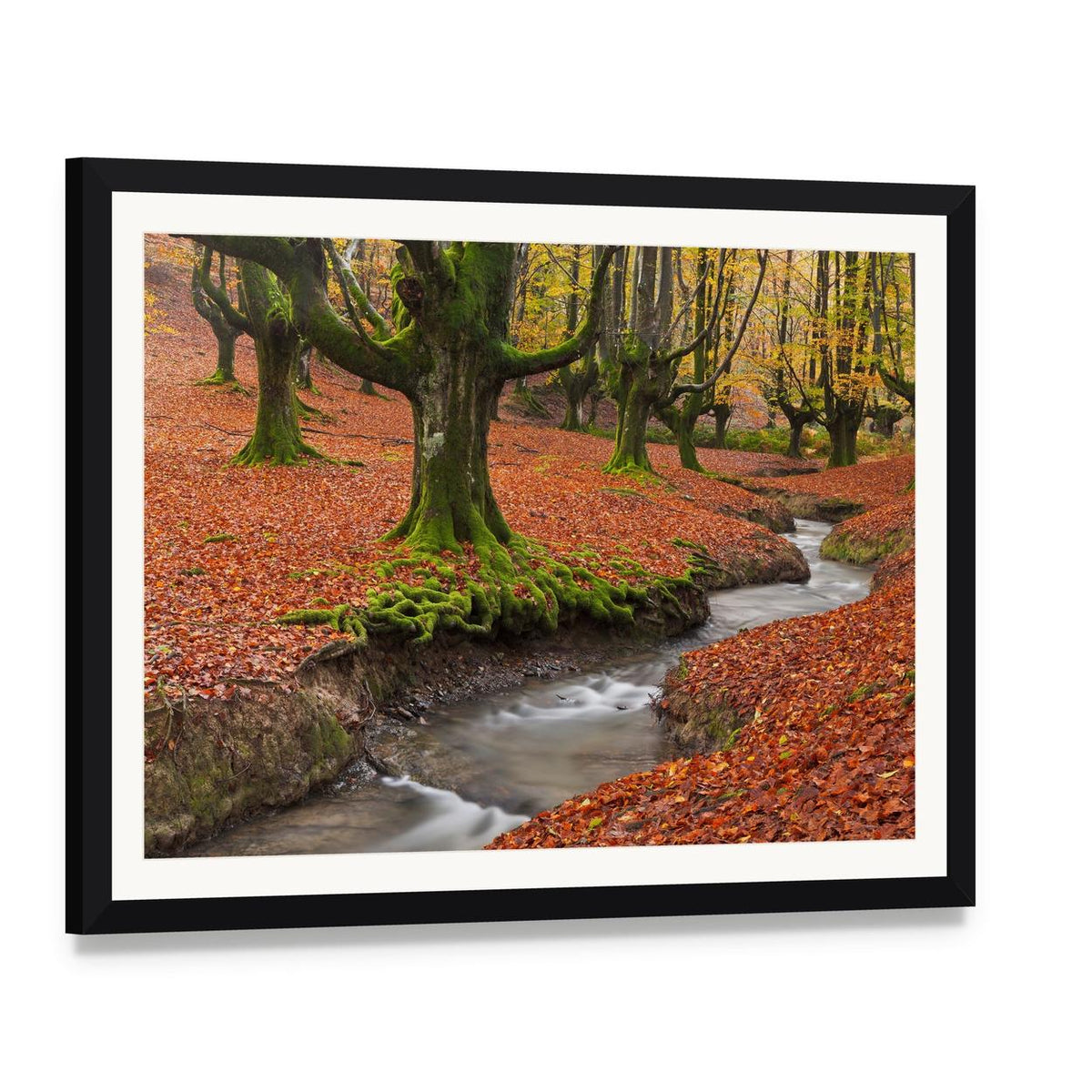Autumn Forest Stream with Mossy Trees Canvas Wall Art, framed print with white mat and black frame, angled product view