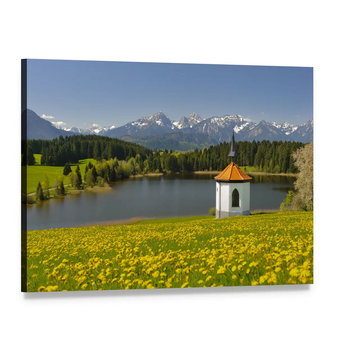 Alpine Lake with Spring Wildflowers Canvas Wall Art, single panel gallery wrapped canvas, angled product view