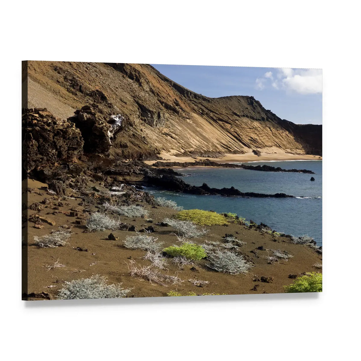 Arid Volcanic Coastal Cliffs with Flying Bird Canvas Wall Art, single panel gallery wrapped canvas, angled product view