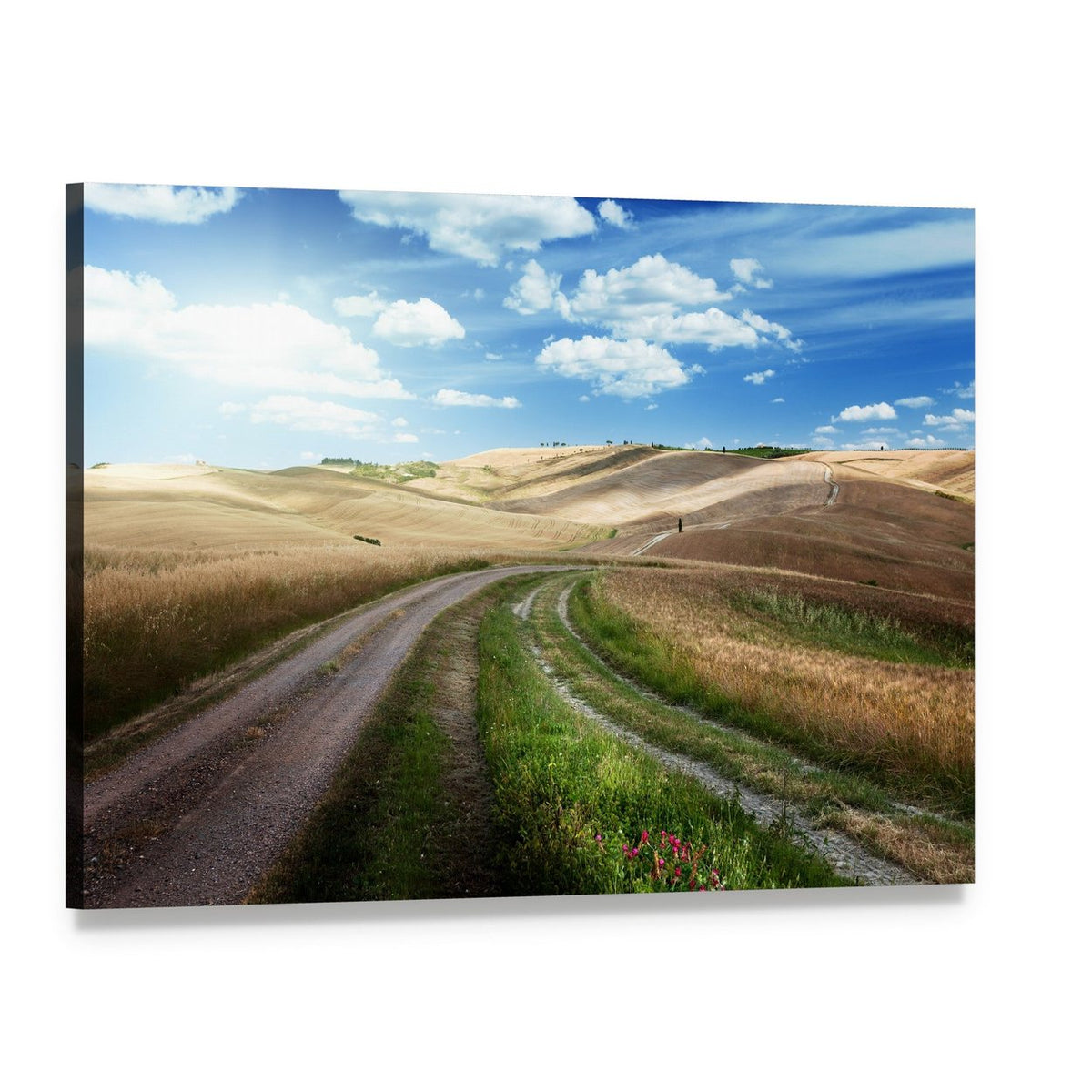 Winding Road Through Golden Wheat Fields Canvas Wall Art, single panel gallery wrapped canvas, angled product view