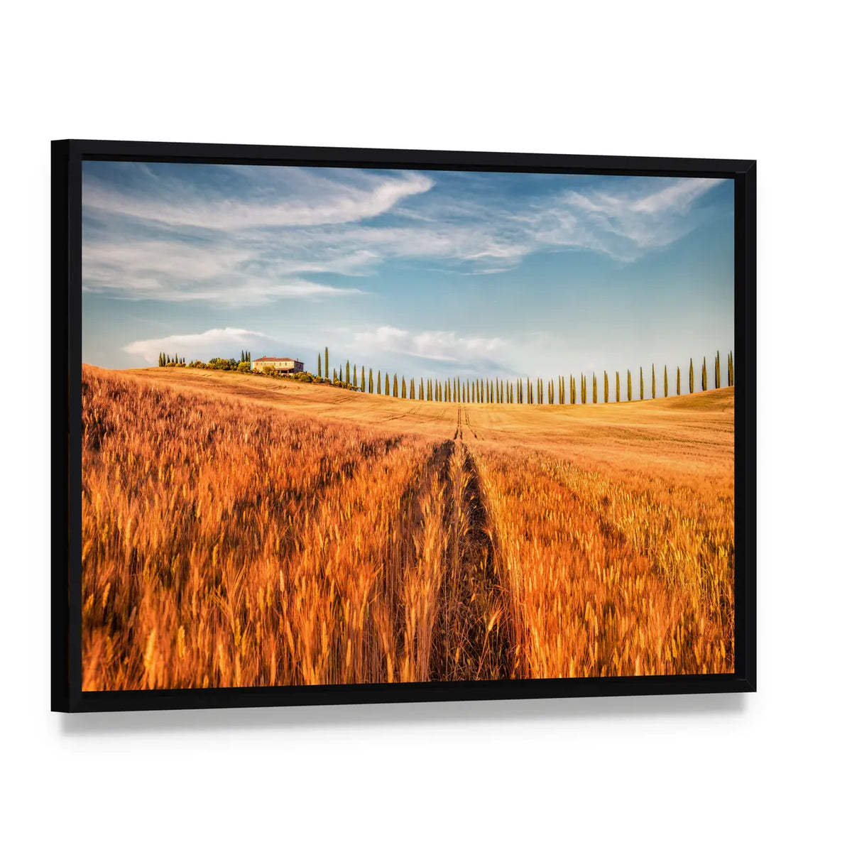 Wheat Field In Tuscany Canvas Wall Art, framed canvas in a black floater frame, angled product view