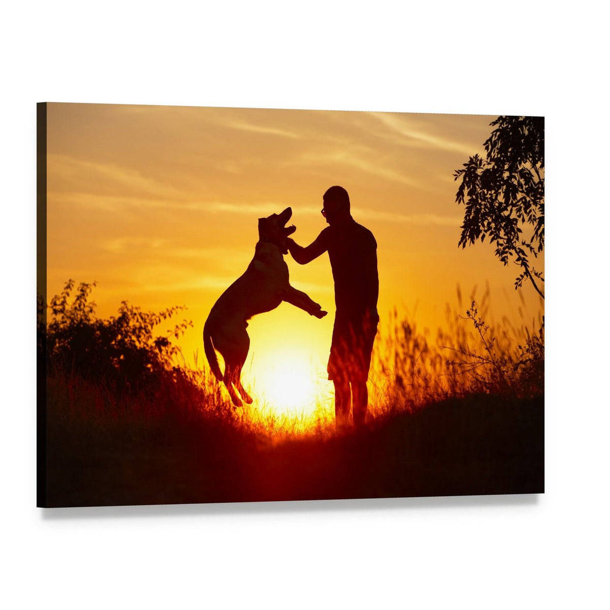 Young Man with Yellow Labrador Retriever Canvas Wall Art, single panel gallery wrapped canvas, angled product view