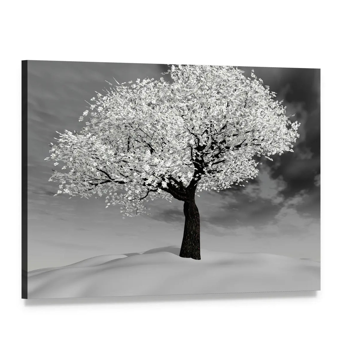 Cherry Tree in Winter Canvas Wall Art, single panel gallery wrapped canvas, angled product view