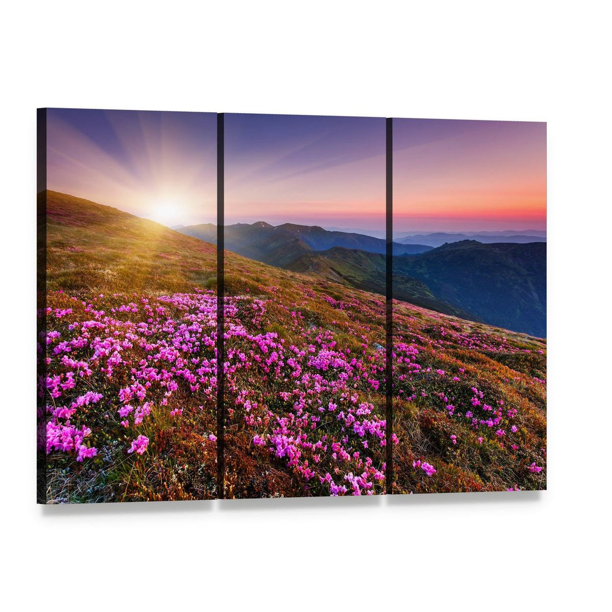 Pink Flowers on Mountain Canvas Wall Art, 3 panel 3 Horizontal layout gallery wrapped canvas set, angled product view