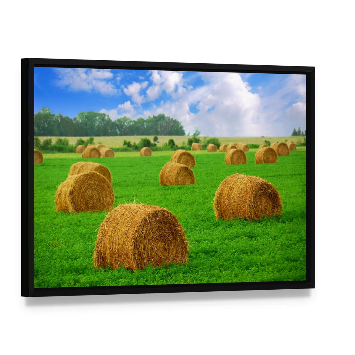 Hay Bales in a Field Canvas Wall Art, framed canvas in a black floater frame, angled product view