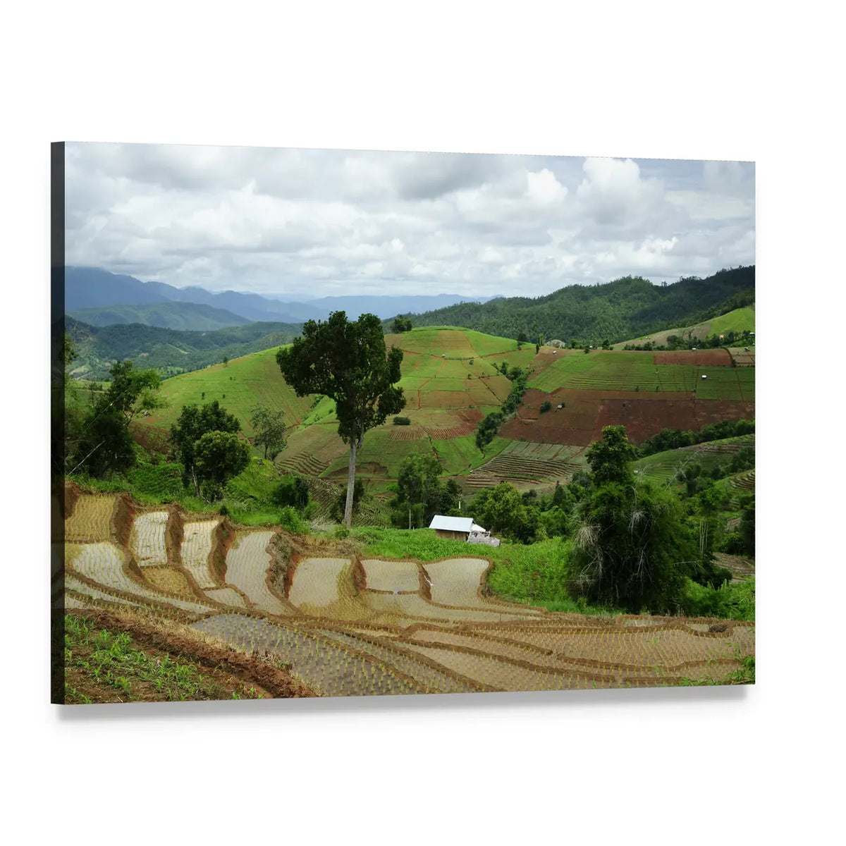 Maechaem Rice Terraces, Thailand Canvas Wall Art, single panel gallery wrapped canvas, angled product view