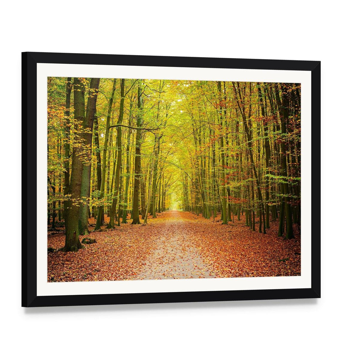 Pathway in the Autumn Forest Canvas Wall Art, framed print with white mat and black frame, angled product view
