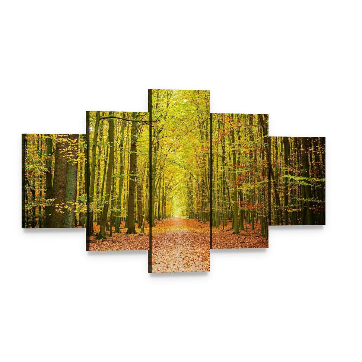 Pathway in the Autumn Forest Canvas Wall Art, 5 panel 5 Star layout gallery wrapped canvas set, angled product view