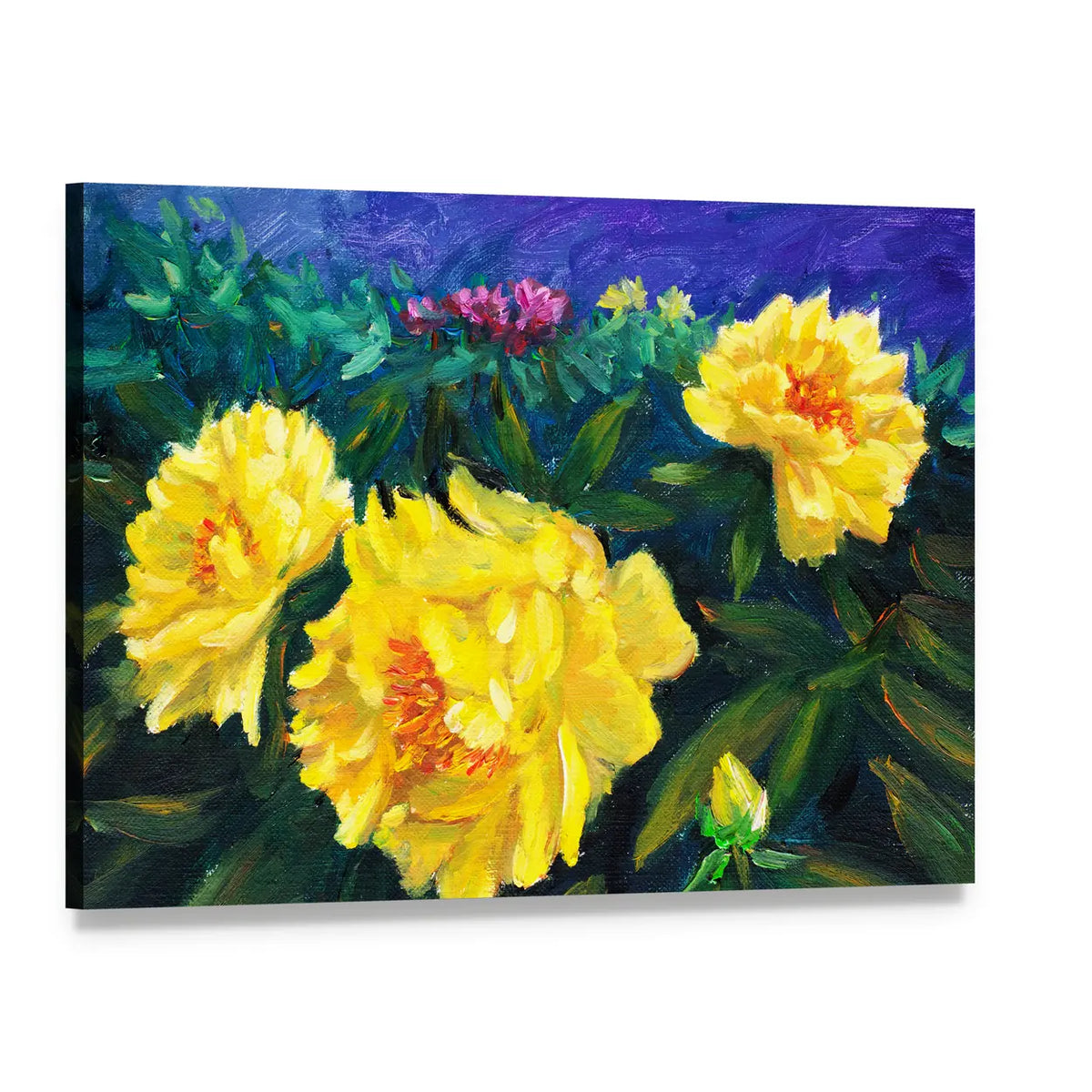 Blooming Yellow Peonies with Textured Blue Background Canvas Wall Art, single panel gallery wrapped canvas, angled product view