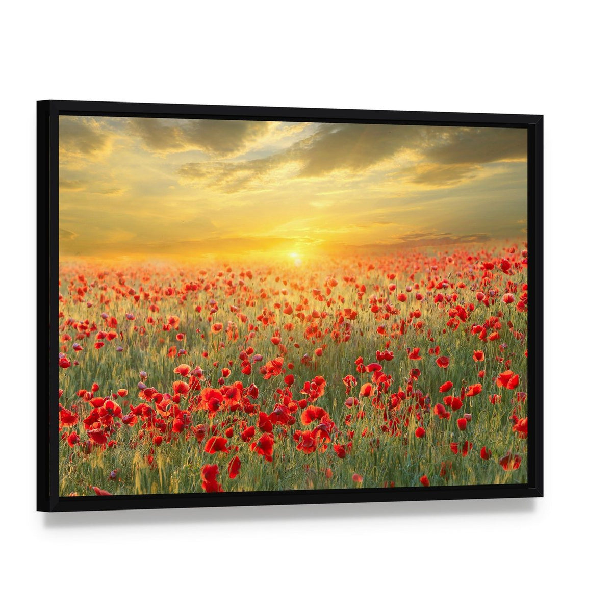 Poppy Field at Sunset Canvas Wall Art, framed canvas in a black floater frame, angled product view