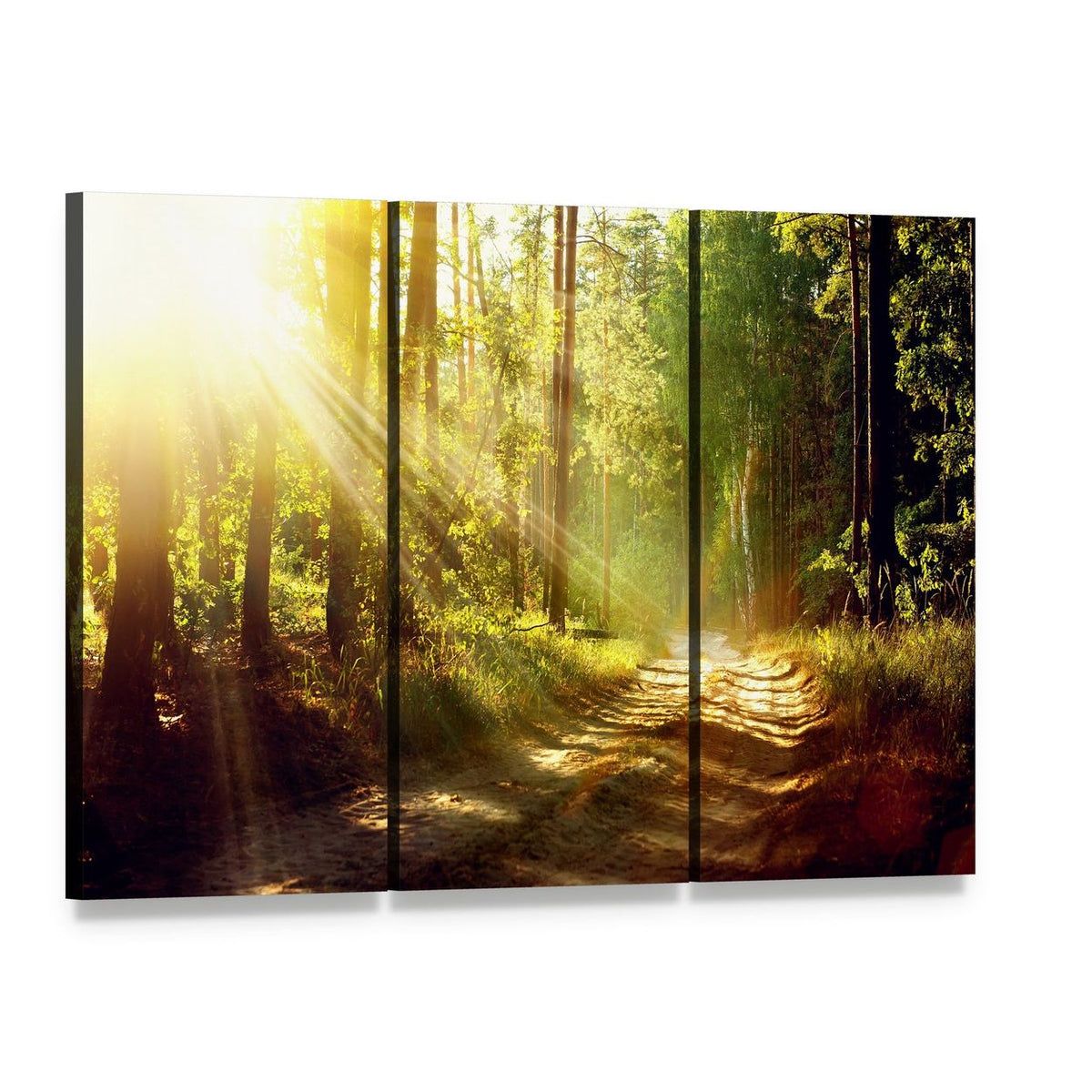 Forest Path with Sunbeams Canvas Wall Art, 3 panel 3 Horizontal layout gallery wrapped canvas set, angled product view