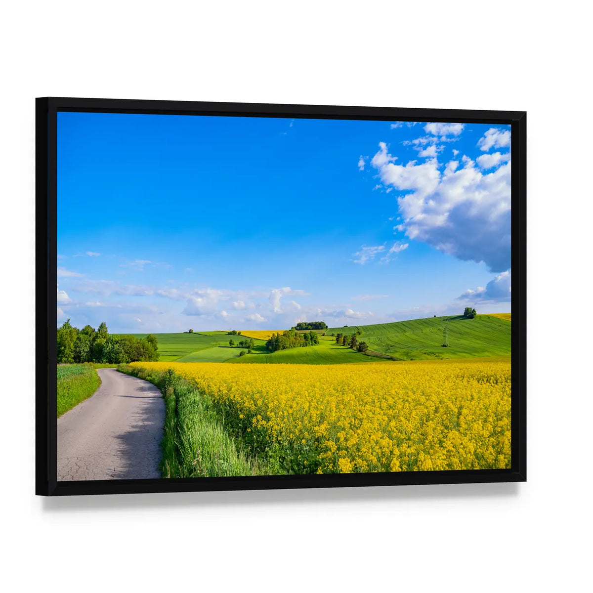 Oilseed field In Italian Countryside Canvas Wall Art, framed canvas in a black floater frame, angled product view