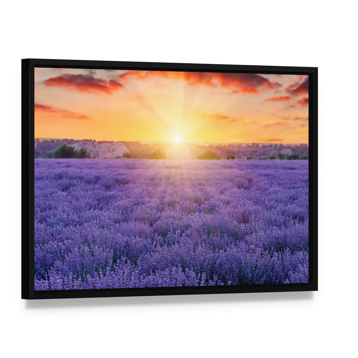 Lavender Fields At Sunset Canvas Wall Art, framed canvas in a black floater frame, angled product view