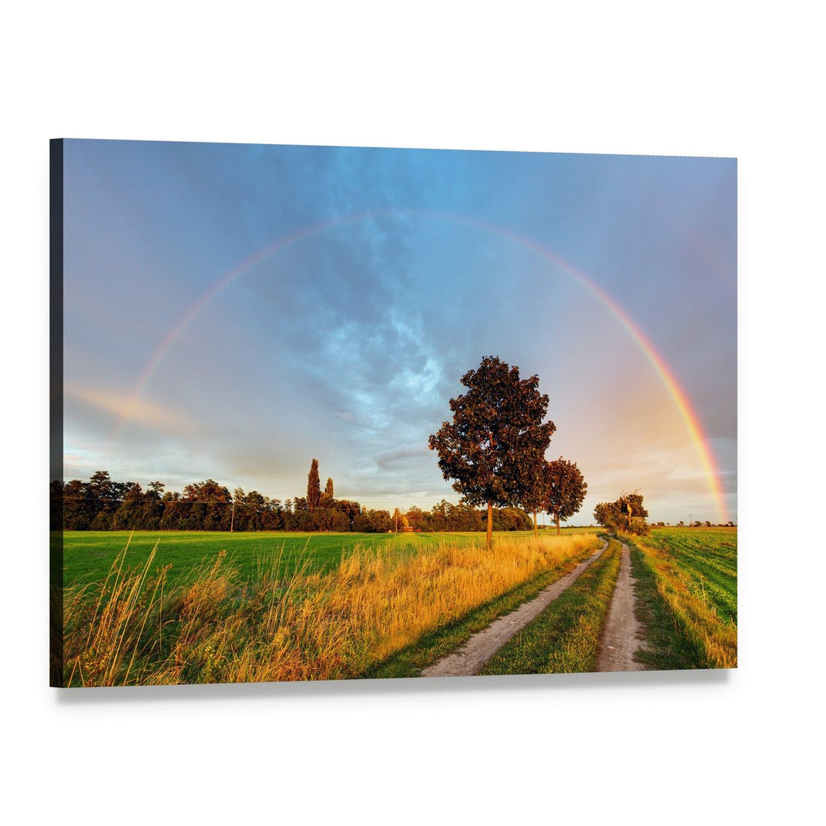 Rainbow Over Field Road Canvas Wall Art, single panel gallery wrapped canvas, angled product view