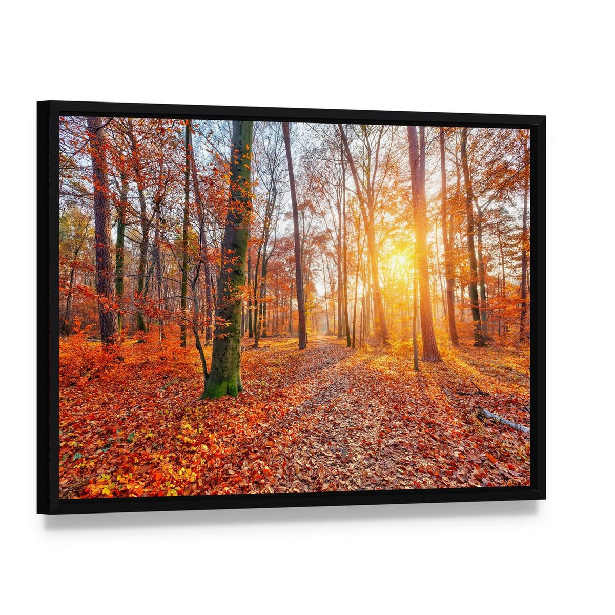Sun in Autumn Forest Canvas Wall Art, framed canvas in a black floater frame, angled product view