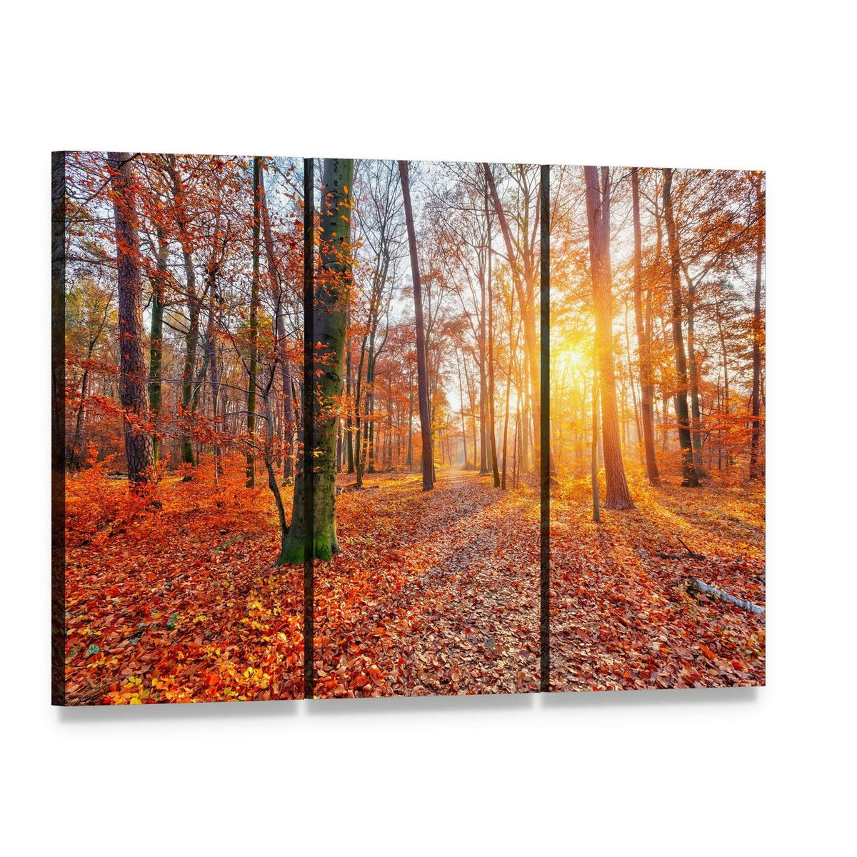 Sun in Autumn Forest Canvas Wall Art, 3 panel 3 Horizontal layout gallery wrapped canvas set, angled product view