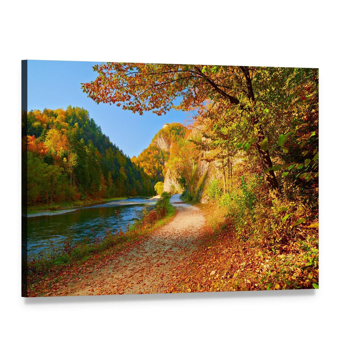 Dunajec River in Autumn Canvas Wall Art, single panel gallery wrapped canvas, angled product view