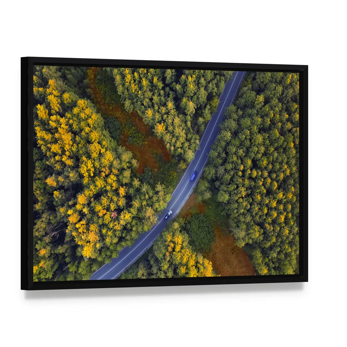 Travel Through Forest Canvas Wall Art, framed canvas in a black floater frame, angled product view