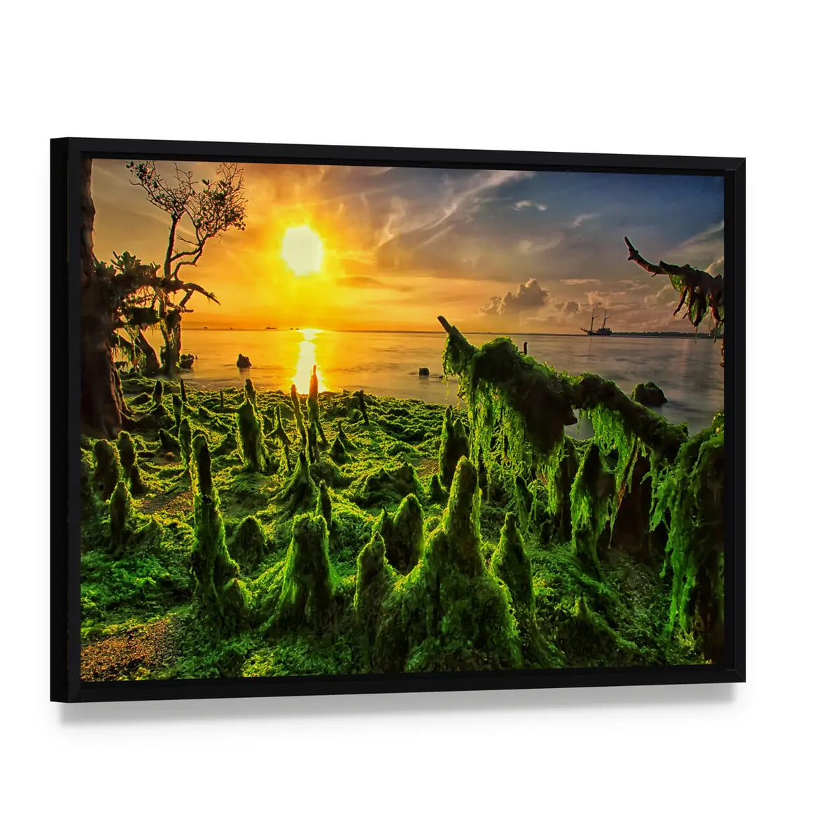 Moss-covered Mangrove Roots at Sunset Canvas Wall Art, framed canvas in a black floater frame, angled product view